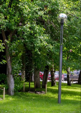 2018 05 10 Naberezhnye Chelny Rusya dokusu, arka plan, desen, çimenlikteki çimenler, doymuş yeşil renk. Karmaşık çimenler