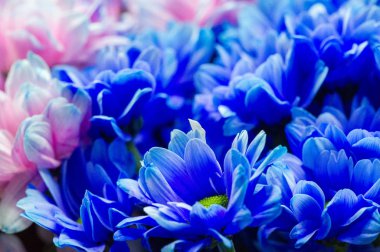 Çiçek buketi yaratıcı bir düzende bir çiçek koleksiyonudur. Çiçek buketleri evlerin ya da kamu binalarının dekorasyonu için düzenlenebilir ya da elde taşınabilir.