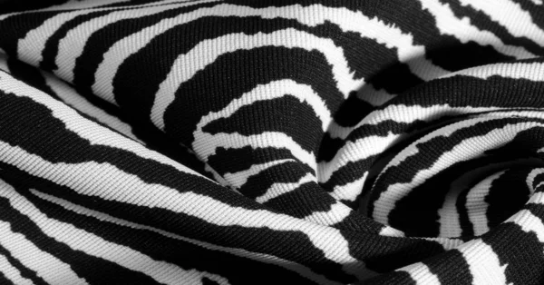 Fundo Padrão Textura Papel Parede Com Coloração Pele Zebra Animal — Fotografia de Stock