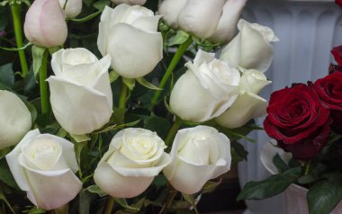 Bir buket çiçek. Çekici bir şekilde düzenlenmiş bir demet çiçek, özellikle bir hediye olarak sunulan ya da bir törende taşınan. burun, lezzet