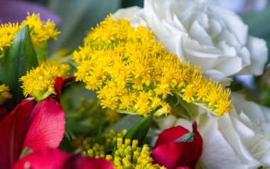 Bir buket çiçek. Çekici bir şekilde düzenlenmiş bir demet çiçek, özellikle bir hediye olarak sunulan ya da bir törende taşınan. burun, lezzet