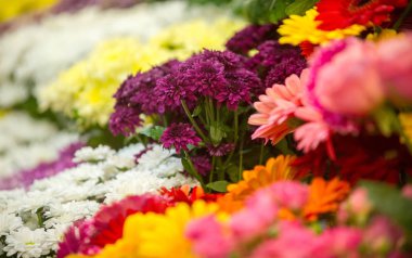 Bir buket çiçek. Çekici bir şekilde düzenlenmiş bir demet çiçek, özellikle bir hediye olarak sunulan ya da bir törende taşınan. burun, lezzet