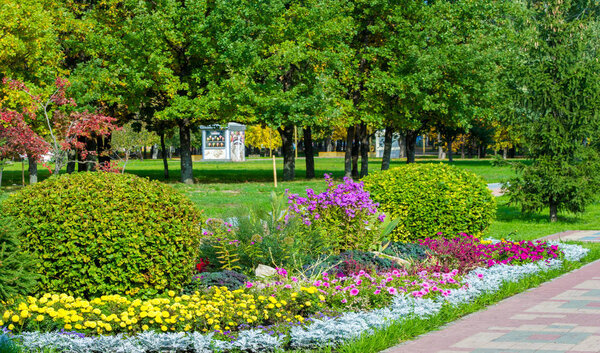 Цветочный ландшафт приносит бунт цвета на улицах города, Городские кровати с цветами, экологической ответственности и украшения через участие сообщества и вызов конкуренции.