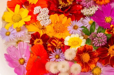 Parlak çeşitli renklerden bir kompozisyon, sarı çiçekler, sonbahar fotoğrafçılığı dekor için hoş bir kompozisyon çiçek lenme parlak renkli sonbahar buketi