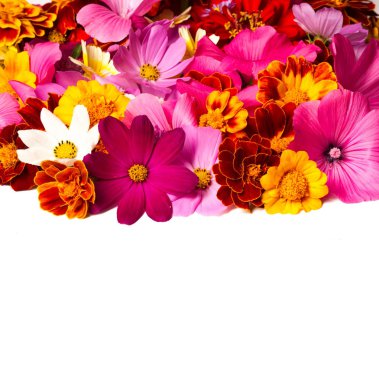 Parlak çeşitli renklerden bir kompozisyon, sarı çiçekler, sonbahar fotoğrafçılığı dekor için hoş bir kompozisyon çiçek lenme parlak renkli sonbahar buketi