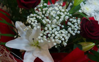 Bir buket çiçek. Çekici bir şekilde düzenlenmiş bir demet çiçek, özellikle bir hediye olarak sunulan ya da bir törende taşınan. burun, lezzet