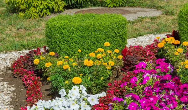 Floral Landscaping Brings Riot Color City Streets City Beds Flowers — Stock Photo, Image