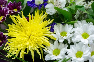 Çiçek buketi yaratıcı bir düzende bir çiçek koleksiyonudur. Çiçek buketleri evlerin ya da kamu binalarının dekorasyonu için düzenlenebilir ya da elde taşınabilir.