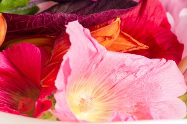 Different flowers. Still life. a painting or drawing of an arrangement of objects, typically including fruit and flowers and objects, contrasting with these in texture, such as bowls and glassware.