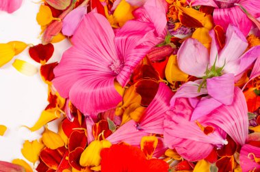 doku arkaplanı. Şablon. çiçek yaprakları.