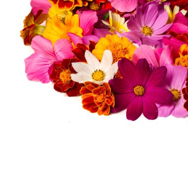 Parlak çeşitli renklerden bir kompozisyon, sarı çiçekler, sonbahar fotoğrafçılığı dekor için hoş bir kompozisyon çiçek lenme parlak renkli sonbahar buketi