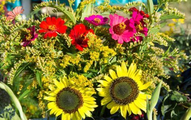 Bir buket çiçek. Çekici bir şekilde düzenlenmiş bir demet çiçek, özellikle bir hediye olarak sunulan ya da bir törende taşınan. burun, lezzet