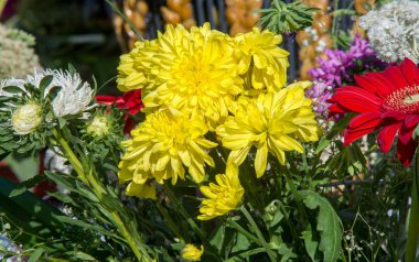 Bir buket çiçek. Çekici bir şekilde düzenlenmiş bir demet çiçek, özellikle bir hediye olarak sunulan ya da bir törende taşınan. burun, lezzet