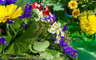 Bir buket çiçek. Çekici bir şekilde düzenlenmiş bir demet çiçek, özellikle bir hediye olarak sunulan ya da bir törende taşınan. burun, lezzet