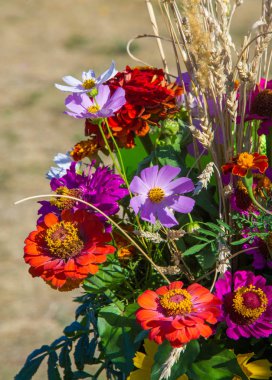 Bir buket çiçek. Çekici bir şekilde düzenlenmiş bir demet çiçek, özellikle bir hediye olarak sunulan ya da bir törende taşınan. burun, lezzet