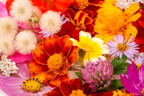 Eine Komposition Aus Leuchtenden Verschiedenen Farben Ein Leuchtend Bunter Herbststrauß — Stockfoto