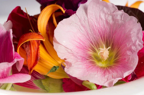 Flores Diferentes Ainda Vida Uma Pintura Desenho Arranjo Objetos Tipicamente — Fotografia de Stock