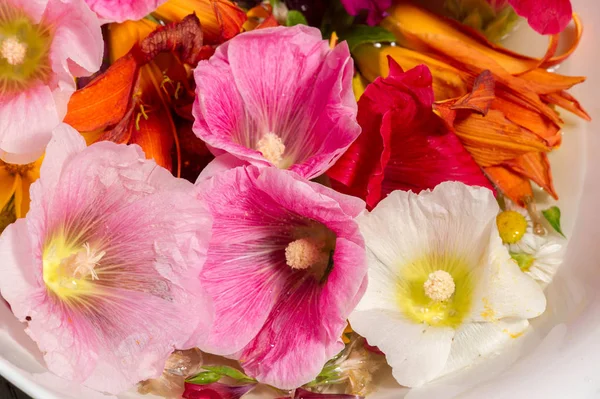 Flores Diferentes Naturaleza Muerta Una Pintura Dibujo Una Disposición Objetos — Foto de Stock