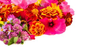 Parlak çeşitli renklerden bir kompozisyon, sarı çiçekler, sonbahar fotoğrafçılığı dekor için hoş bir kompozisyon çiçek lenme parlak renkli sonbahar buketi