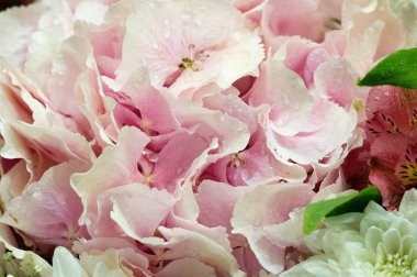 Çiçek buketi yaratıcı bir düzende bir çiçek koleksiyonudur. Çiçek buketleri evlerin ya da kamu binalarının dekorasyonu için düzenlenebilir ya da elde taşınabilir.