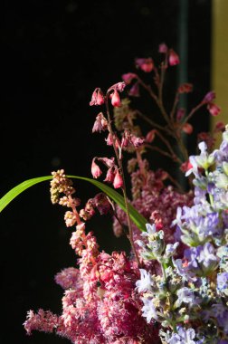 Yabani çiçekler - tarla, çayır, bozkır, mavi, taç içinde toplanmış çanlar.
