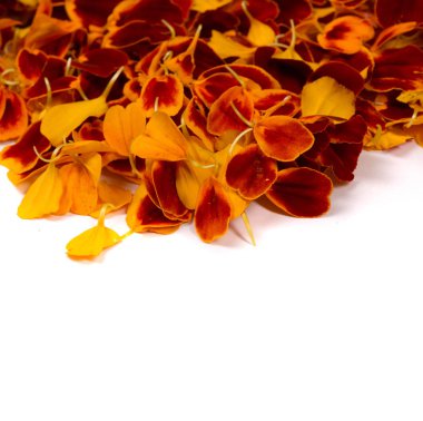 doku arkaplanı. Çiçek yaprakları deseni. Kadife çiçekleri için çelenklerin neredeyse her evde kullanıldığı Nepal kültüründe takvim çok önemlidir, özellikle de Tihar 'daki festival sırasında.