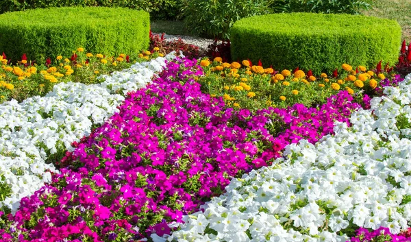Virágos Tereprendezés Színkavalkádot Hoz Város Utcáira Városi Ágyakat Virágokkal Környezeti — Stock Fotó