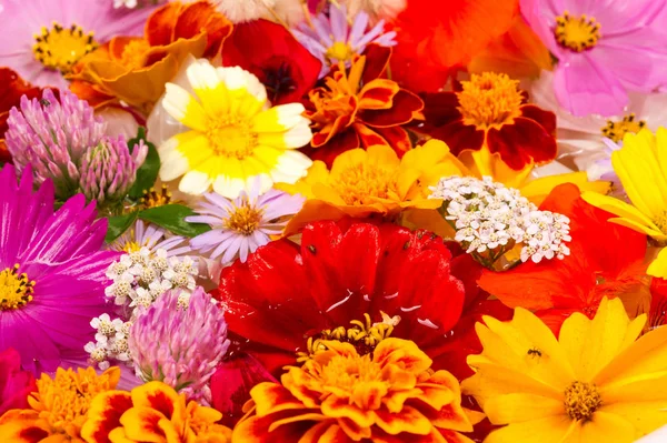 Une Composition Différentes Couleurs Vives Bouquet Automne Coloré Lumineux Floraison — Photo