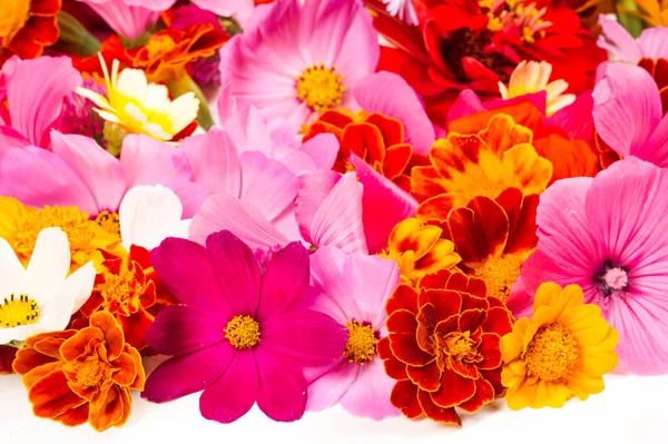 Een Compositie Van Heldere Verschillende Kleuren Een Heldere Kleurrijke Herfst — Stockfoto