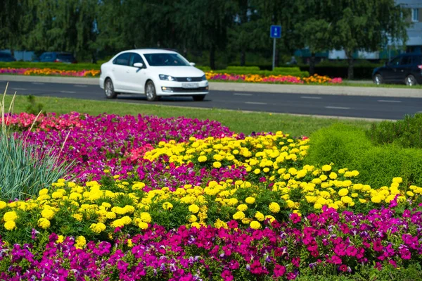 Foto Della Città Aiuole Città Sullo Sfondo Autostrada Con Auto — Foto Stock