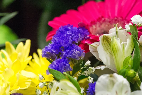 Квітковий Букет Колекція Квітів Творчій Композиції Квіткові Букети Можуть Бути — стокове фото