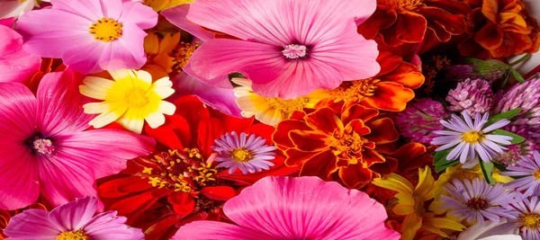Eine Komposition Aus Leuchtenden Verschiedenen Farben Ein Leuchtend Bunter Herbststrauß — Stockfoto
