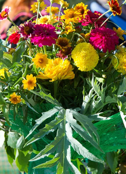Букет Квітів Привабливо Організована Група Квітів Особливо Подарована Подарунок Або — стокове фото