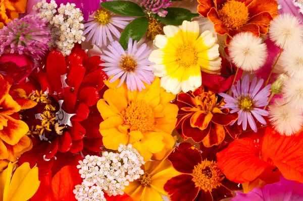 Een Compositie Van Heldere Verschillende Kleuren Een Heldere Kleurrijke Herfst — Stockfoto