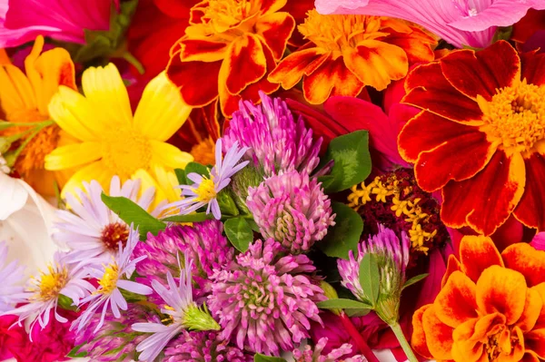 Composition Bright Various Colors Bright Colorful Autumn Bouquet Blossoming Yellow — Stock Photo, Image