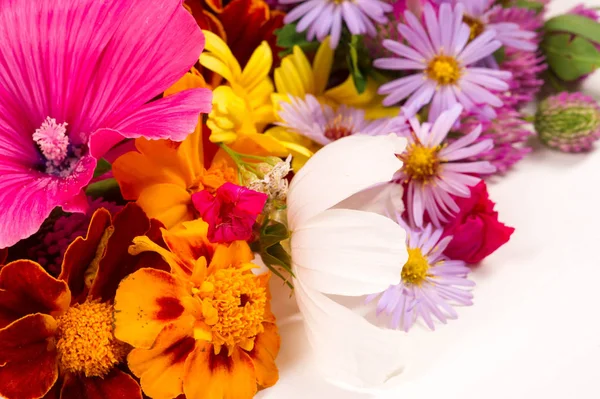 Een Compositie Van Heldere Verschillende Kleuren Een Heldere Kleurrijke Herfst — Stockfoto