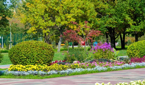 Kwiatowy Krajobraz Przynosi Zamieszki Kolorów Ulicach Miasta Łóżka Miejskie Kwiatami — Zdjęcie stockowe