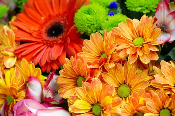 Ein Blumenstrauß Ist Eine Sammlung Von Blumen Einem Kreativen Arrangement — Stockfoto