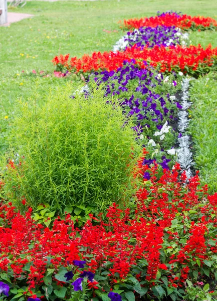 stock image Floral landscaping brings a riot of color to city's streets, City beds with flowers, environmental responsibility and beautification through community participation and the challenge of competition.