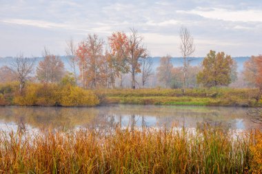 Sonbahar gölü sisi. Sonbaharda sis kaplı göl