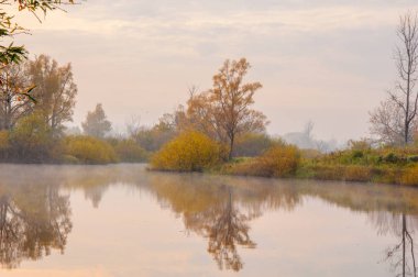 Sonbahar gölü sisi. Sonbaharda sis kaplı göl