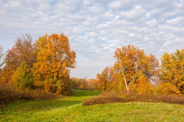 Manzara. Sonbahar çayırı, renkli sarı ağaçlar, güzel gökyüzü.
