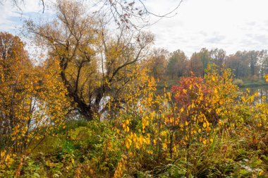Sonbahar bir güzel mevsimde Nehri üzerinde. 