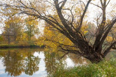 Sonbahar bir güzel mevsimde Nehri üzerinde. 