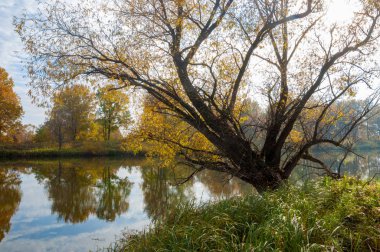 Sonbahar bir güzel mevsimde Nehri üzerinde. 