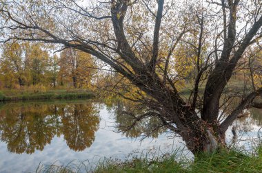 Sonbahar bir güzel mevsimde Nehri üzerinde. 