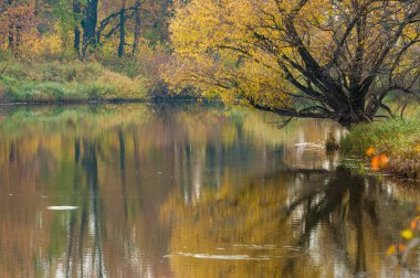 Sonbahar bir güzel mevsimde Nehri üzerinde. 