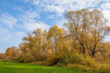 Sonbahar terk edilmiş golf sahası