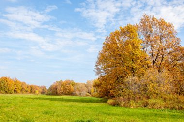 Sonbahar terk edilmiş golf sahası