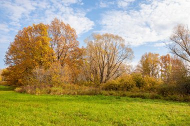 Sonbahar terk edilmiş golf sahası